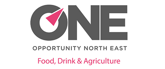 One Opportunity North East logo