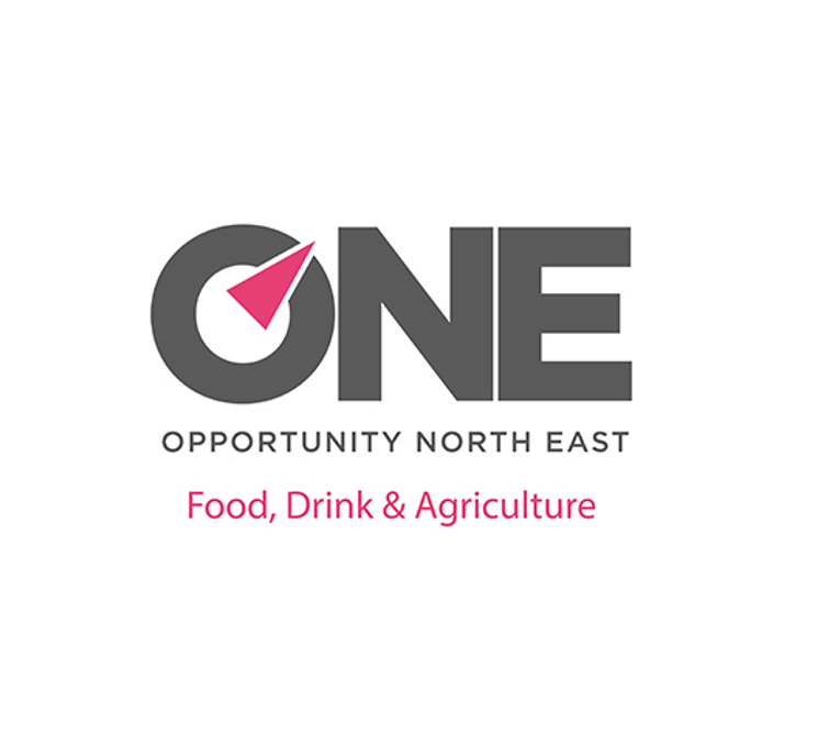 One Opportunity North East logo