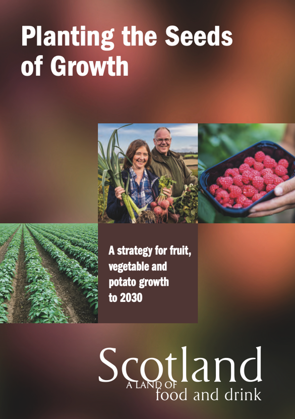 Planting The Seeds Of Growth Cover