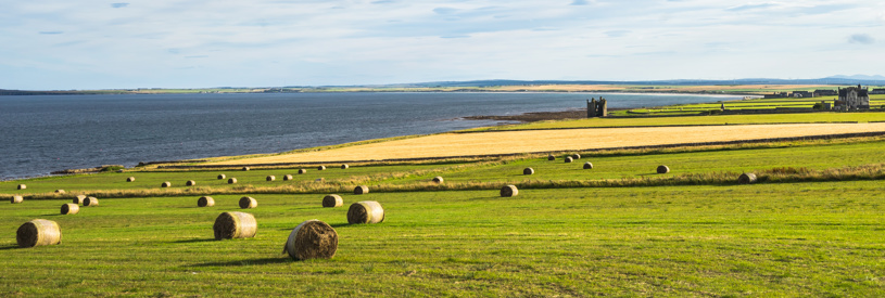 Member Safari: Sustainability