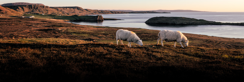 The Rural AI Roadshow - How AI can help your rural business thrive 