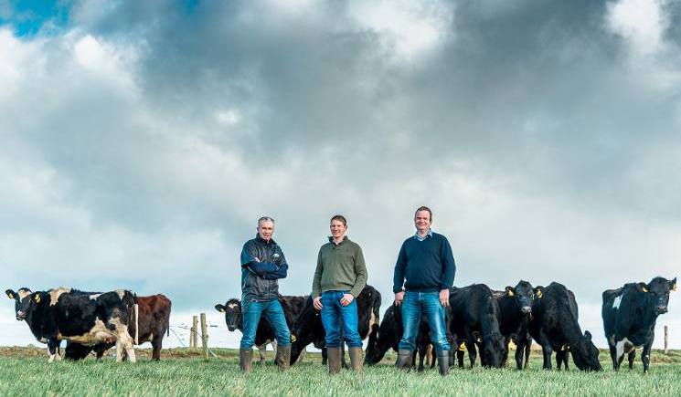 two farmers in field with cows