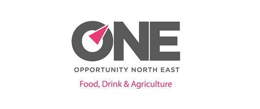 One Opportunity North East logo