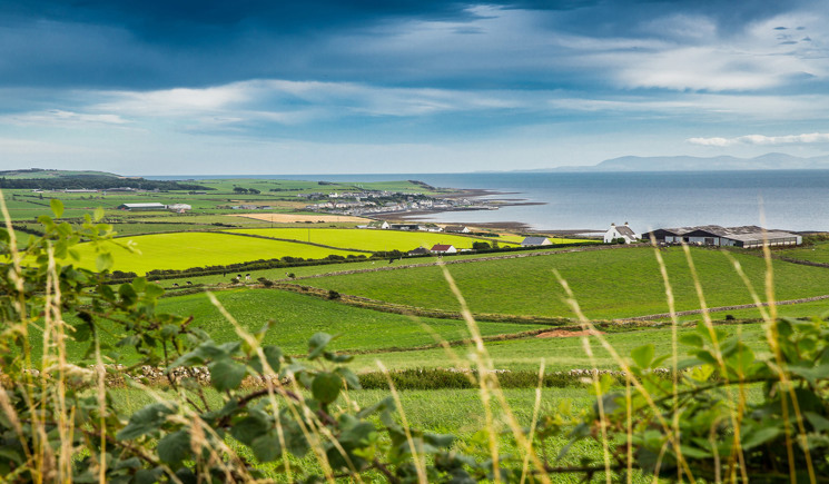 green fields with water in the distance